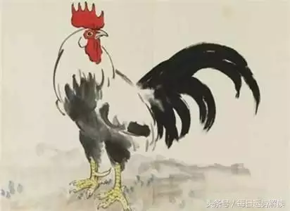 3、57年屬雞64歲三大坎坷:57年屬什麼生肖今年多少歲