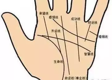 6、婚姻線:看看婚姻線？