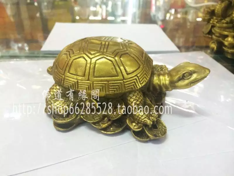 銅龜擺放位置頭朝哪邊：銅龜怎麼擺放位置