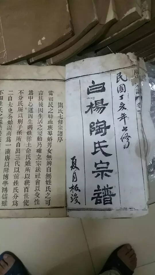 2、男77年與女75年能婚配嗎:75年屬兔正月女性與77年屬蛇二年男性婚配好嗎