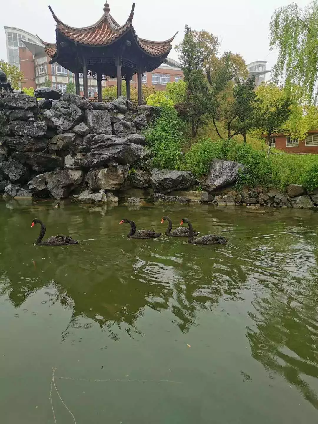 4、註定成為夫妻的八字:如果知道兩個人的生辰八字，是否能知道兩個人以後會不會成為夫妻