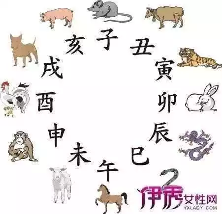 4、十二生肖排名表:十二生肖排行