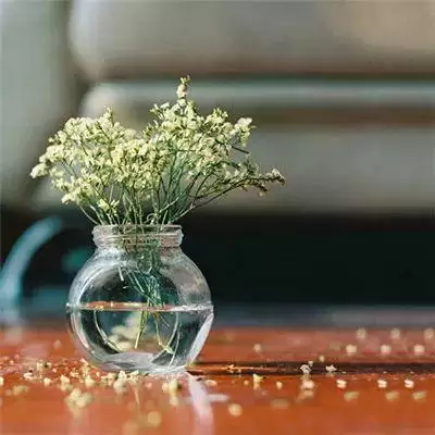 年帶好運微信頭像圖片：什麼微信頭像能帶來好運？