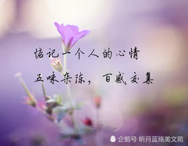 2、如何看兩個人的緣分:怎樣測試兩個人的緣分最準確