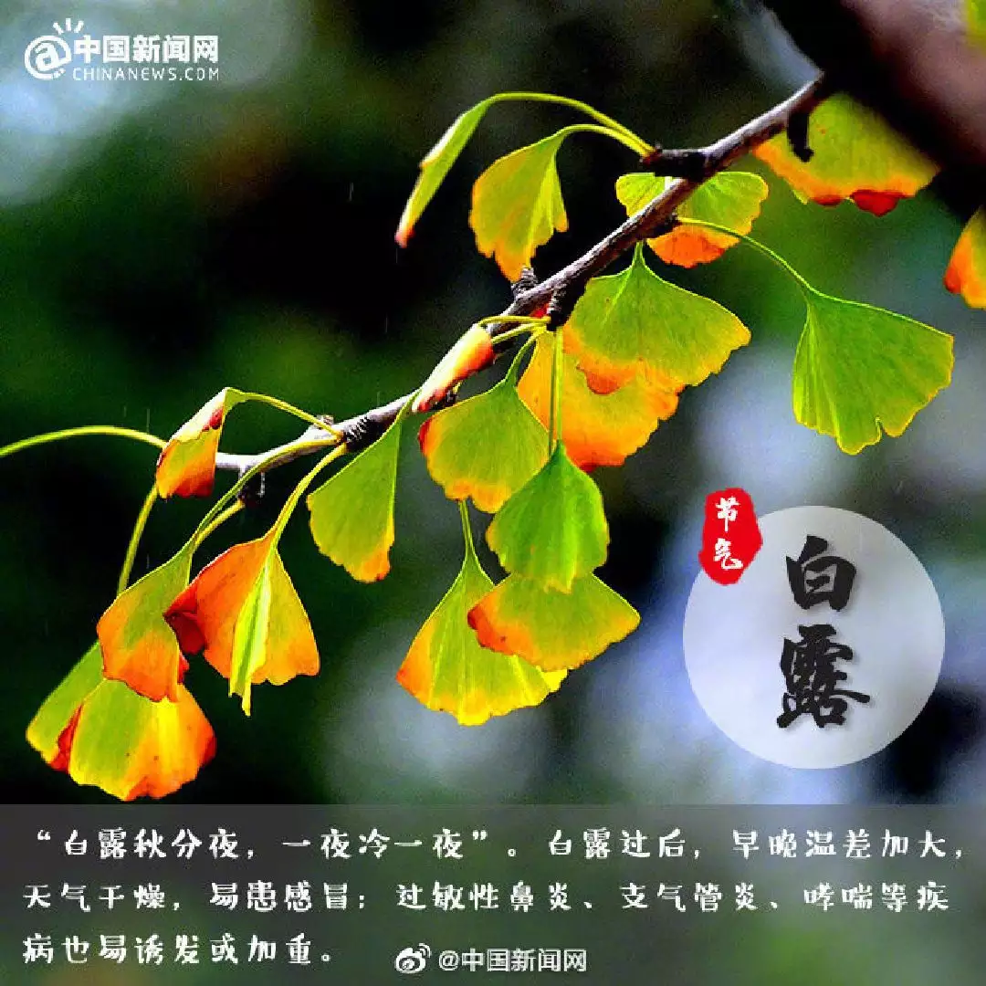 九月白露接秋分的屬相：一年之中哪些月份屬秋天？