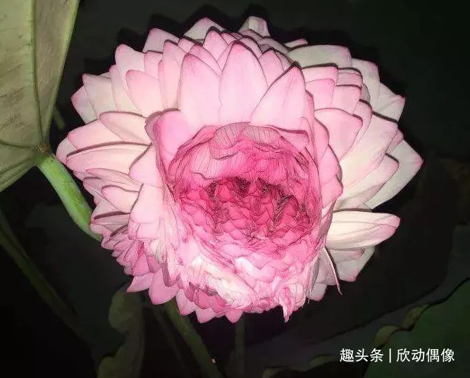 分手后糾纏不清的屬相：分手后糾纏不清怎麼辦