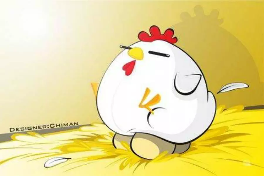 5、屬雞能與遇兔的婚配嗎:男屬雞與女屬兔相配嗎