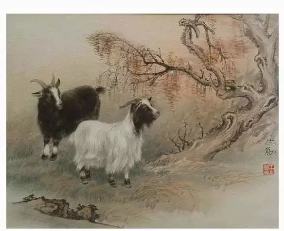屬羊人命里最苦的出生月份：屬羊的人命最苦嗎
