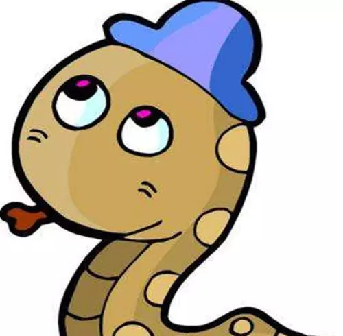 蛇和虎的屬相合不合家人：屬虎和屬蛇的好嗎