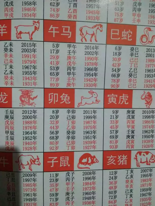 4、屬兔多少歲了今年:屬兔的今年幾歲啦