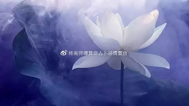 2、生辰八字算命免費測試:生辰八字免費算命