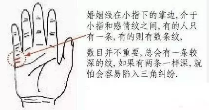 9、輸入姓名查一生有幾次婚姻:能用名字測出一歷幾次婚姻嗎