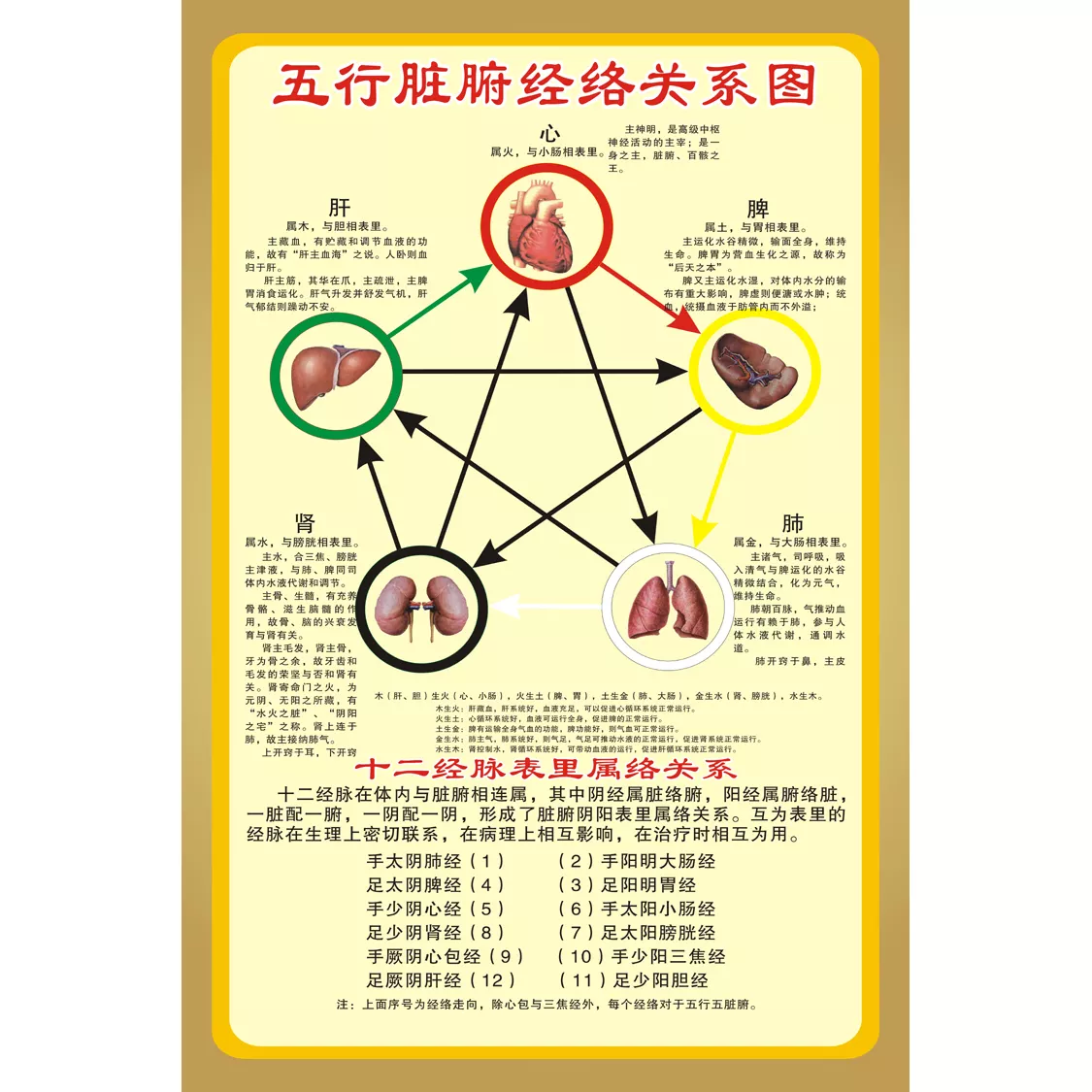 1、五臟五行順口溜:人體的五臟用五行該怎樣來表示？