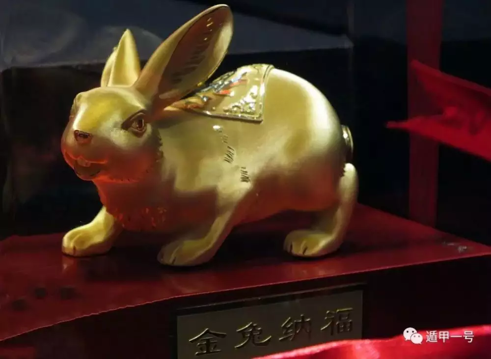 1、屬兔今年財運如何:兔子今年的運勢如何