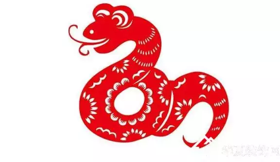 4、屬蛇的今年下半年財運:今年屬蛇運氣怎樣？