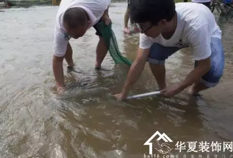 夢見自己捉了一條大活魚：夢見手裡抓着一條小活魚