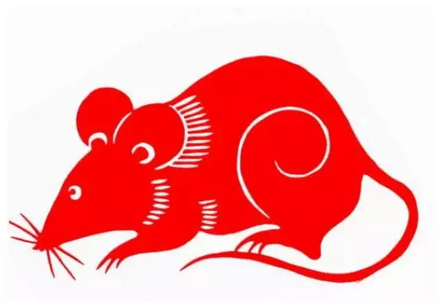 1、屬鼠的今年的運程是什麼樣:今年是什麼年，屬鼠人今年運勢怎麼樣？