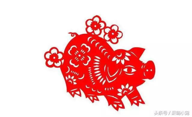 1、豬和龍的婚配屬相合適不合適:龍和豬屬相配不配？謝謝，