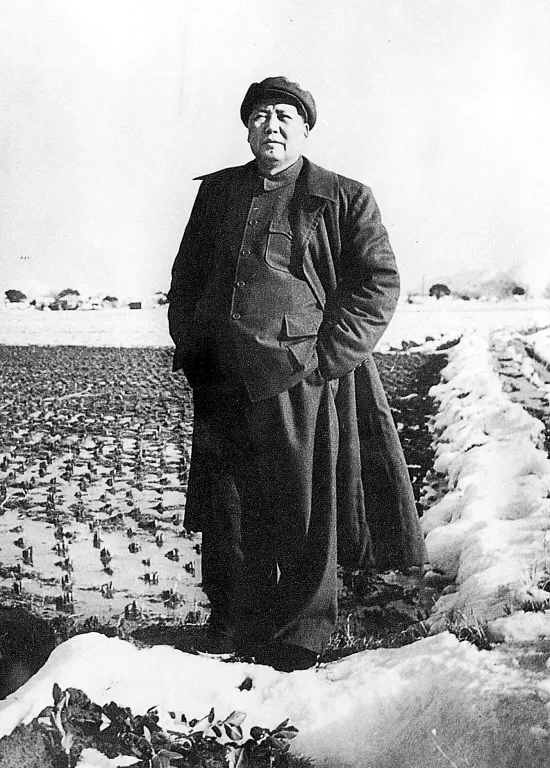 1954年1月出生屬相：屬羊的人幾月出生好