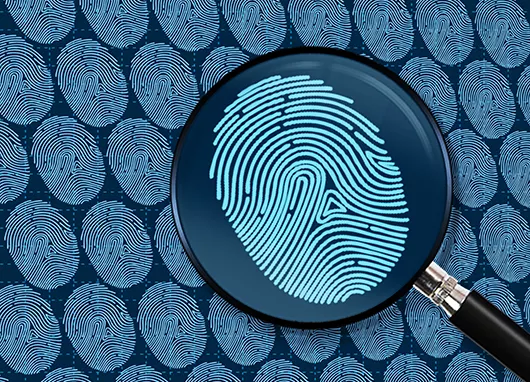 5、十個斗女的姻緣:10斗女人的配偶