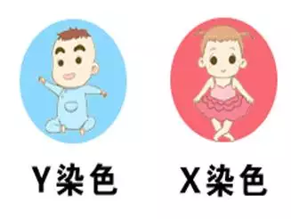2021年幾月生男孩清宮圖：清宮圖2021年生男生女表怎麼算