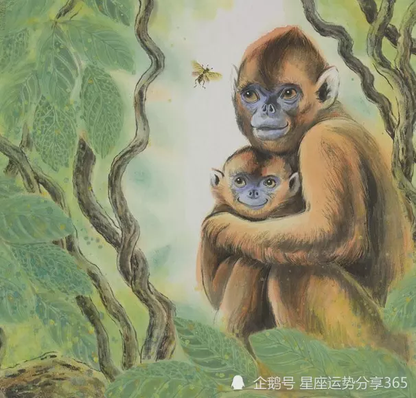 猴屬相和什麼屬相合財呢：屬牛的和屬猴的合財不？