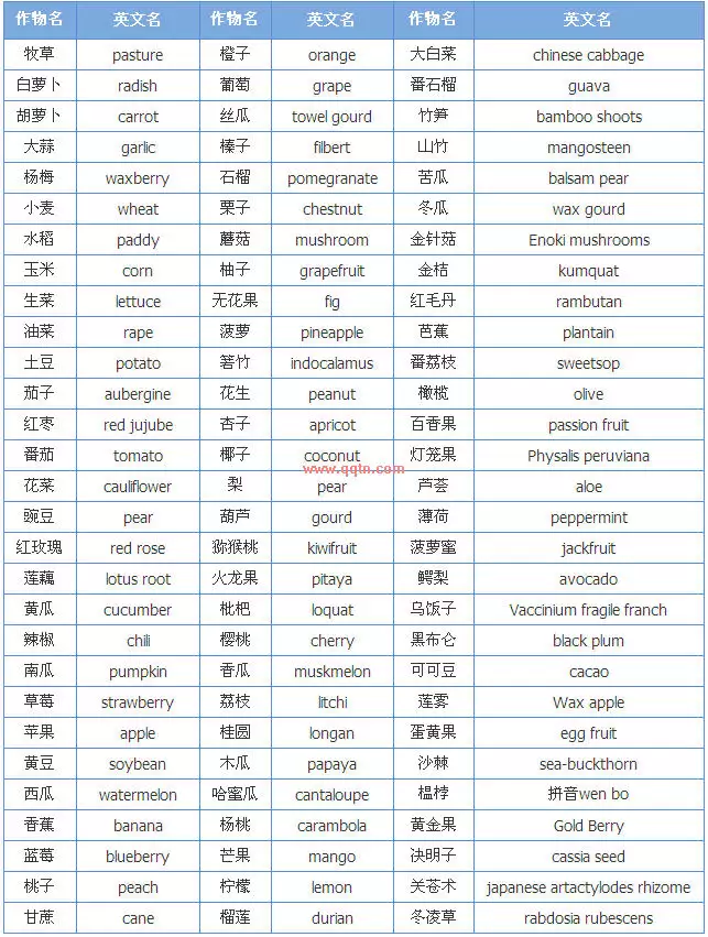好聽又特別的微信名字英文名：好聽的微信英文昵稱有哪些？