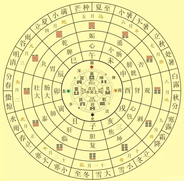 人的生肖屬相七五年屬什麼：七五年屬什麼生肖