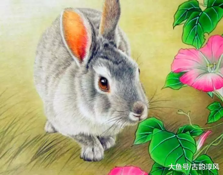 接親二婚要個指定的屬相去接：朋友再婚，我能去接親嗎？