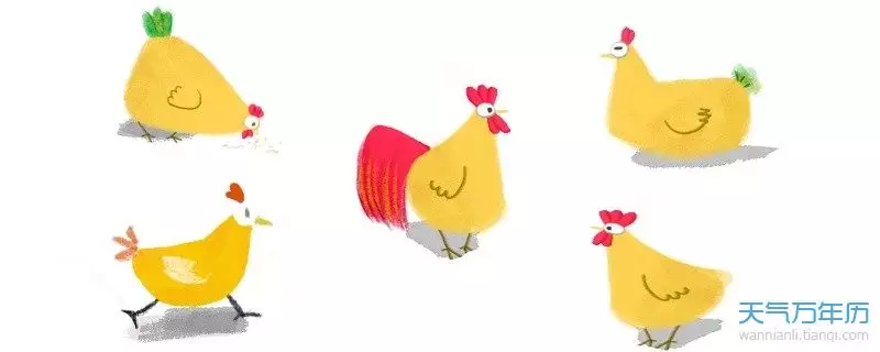 雞和狗的屬相在事業合不合：屬雞的和屬狗的屬相合不合？