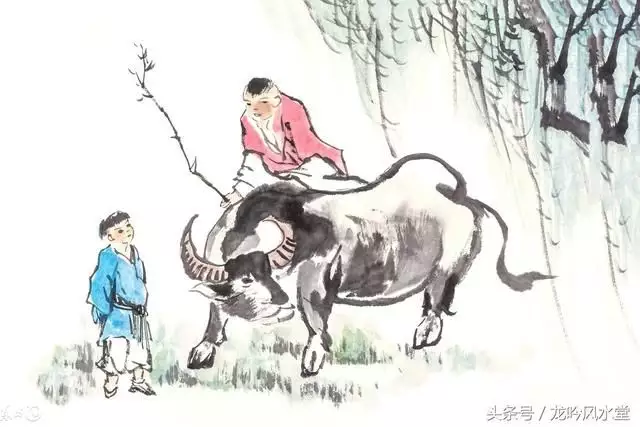 73年屬牛48歲財運男：73年屬牛48歲財運