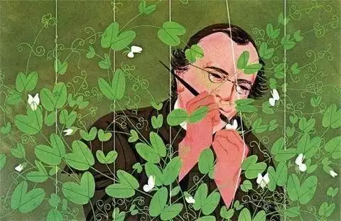 3、近親婚配發生長壽基因:近親娶親會增添後裔遺傳病的發病率，主要緣故原由在於