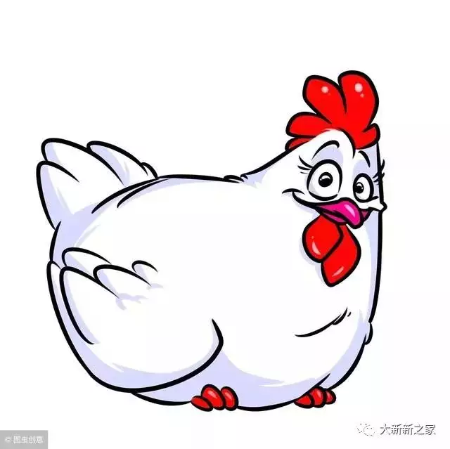 雞屬相和什麼屬相相衝：屬相雞與什麼屬相相剋
