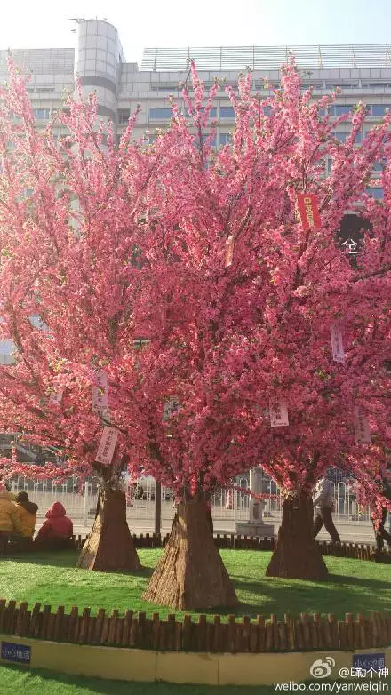 1、婚姻樹免費測試:易奇八字婚姻樹那個樹榦測試的未來對象准嗎