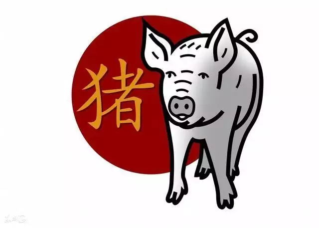 3、雞和兔婚配的婚姻如何:屬兔女與屬雞男相配會怎樣