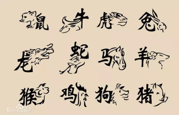 兔跟蛇屬相互助生意是否適合：兔和蛇做生意和財嗎