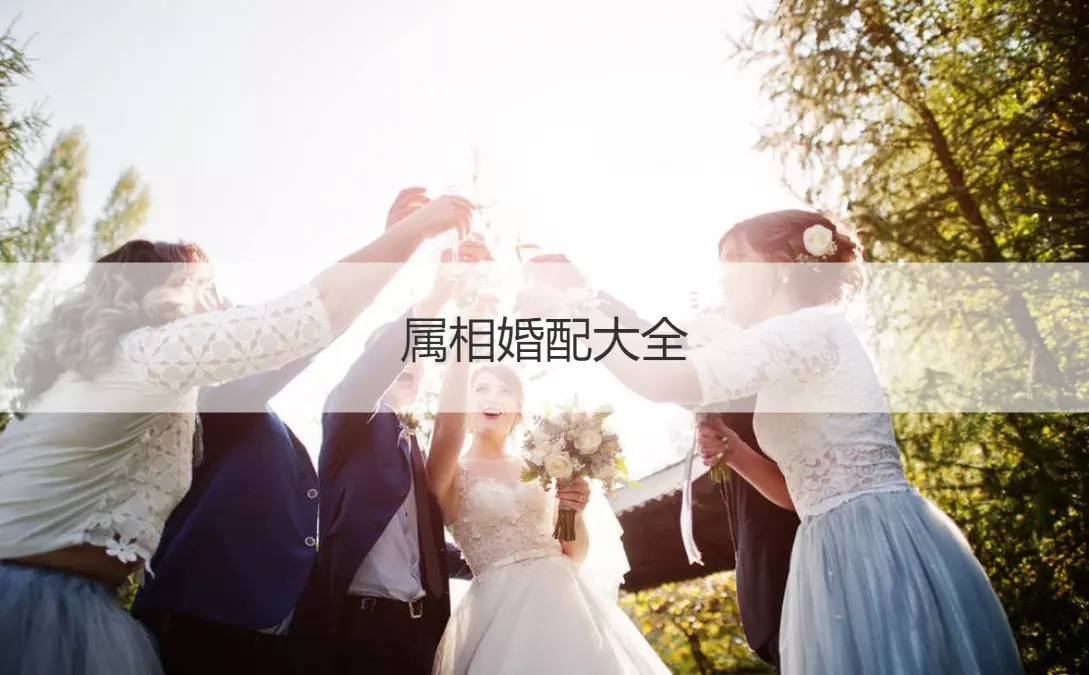 2、男屬狗女屬雞婚配好欠好:女屬雞和男屬狗好欠好