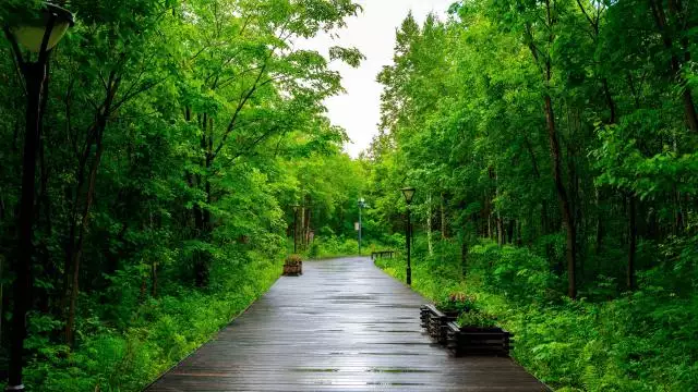 5、美國轉運費用一般多少:美國轉運公司便宜嗎？轉運到國內多少錢？