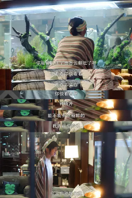 6、合租式婚姻的:推薦幾本好看的合租