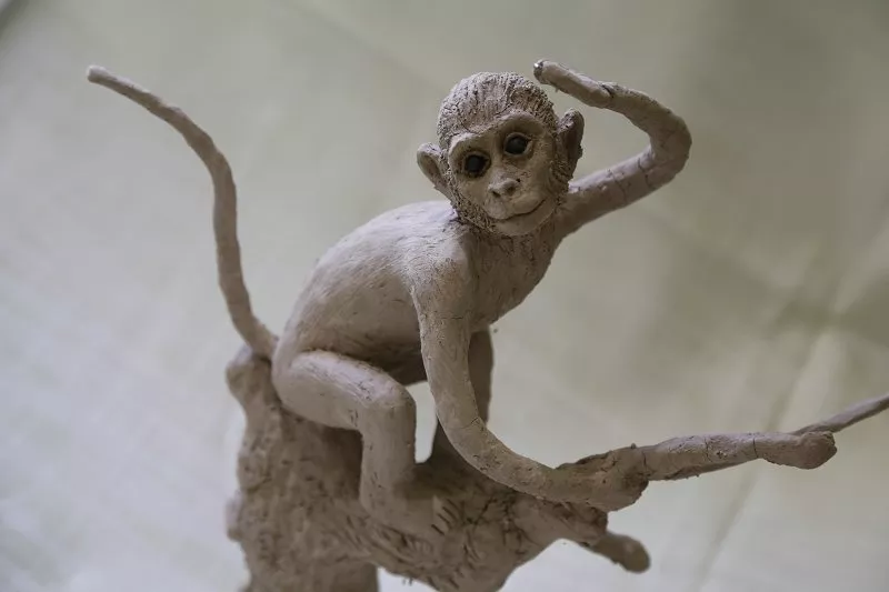 猴屬相的明星：屬猴的明星有哪些?