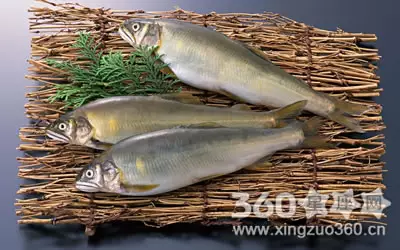 女人夢見一條很大的魚：我夢見自己放走了一條紅色很大的魚精