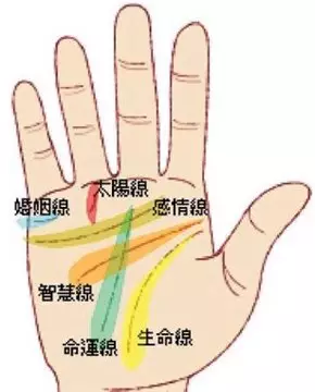 2、掃一掃測手相算命:有會看手相的嗎？