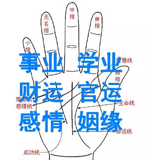 4、八字測婚姻姻緣詳細:生辰八字測姻緣