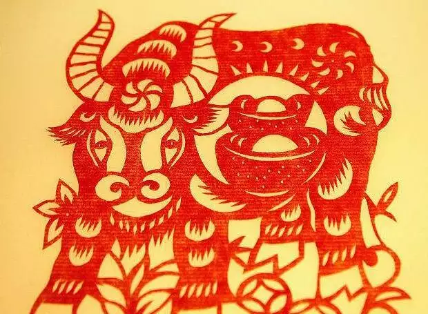 3、屬馬的意外有了牛寶寶:父母屬馬生個牛寶寶好嗎