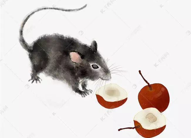屬猴和屬鼠的人在一起了會怎麼樣：屬猴和屬鼠的人在一生活好嗎?