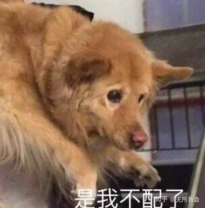 我感覺屬相配不配沒有區別：有沒有懂星座和屬相配不配的！
