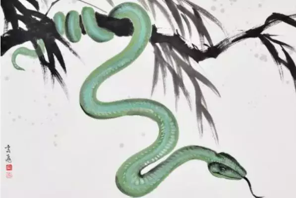 1、年屬蛇一生有二婚:年屬蛇女一生有幾段婚姻
