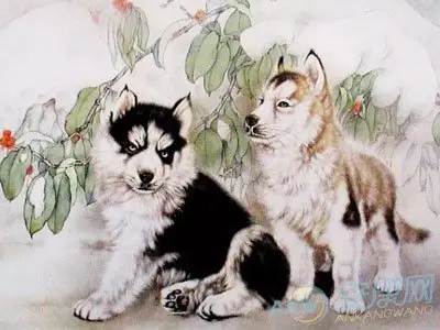 2、狗的婚配屬相有哪些好:屬狗和什麼屬相最配 屬狗的屬相婚配表大全