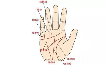 3、手掌哪條是婚姻線:手掌上的生命線,事業線和愛情線分別是哪條?