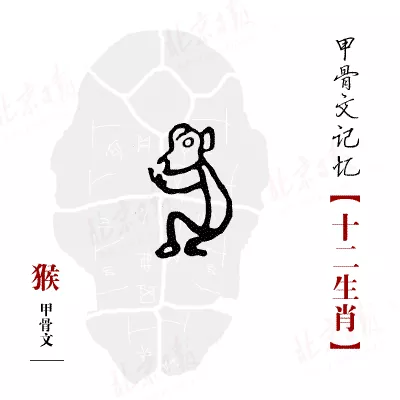 小雞肚腸的屬相的屬相：怎麼樣才能和一個小雞肚腸的男人過一生